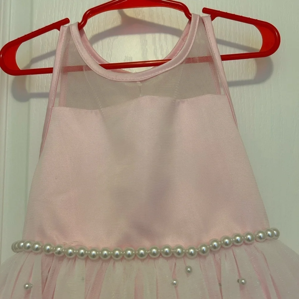 American Princess Pink Formal Dress - Picture 4 of 7